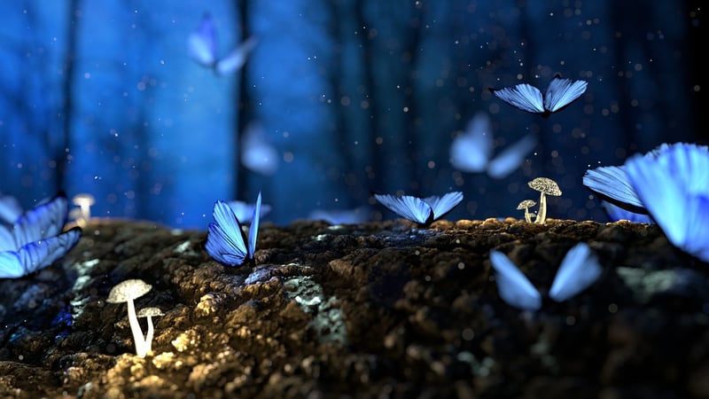 Enchanted Trees